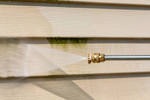 Best Pressure Washing Siding  in Center Line, MI