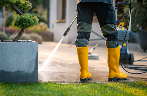 Best Exterior Home Cleaning  in Center Line, MI